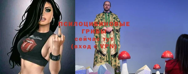 сатива Лихославль