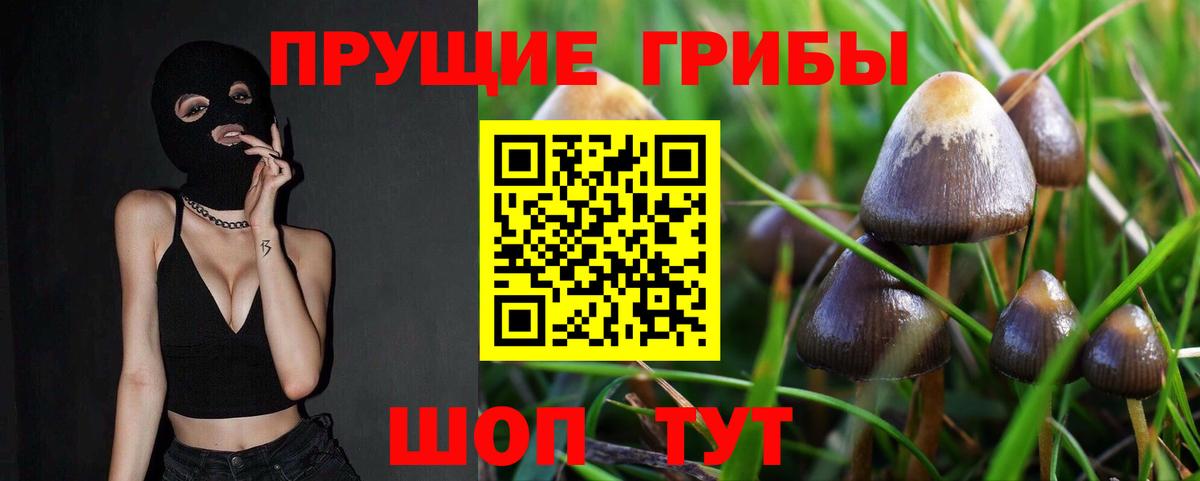 Архангельск  Галлюциногенные грибы Psilocybine cubensis  Вход с VPN 