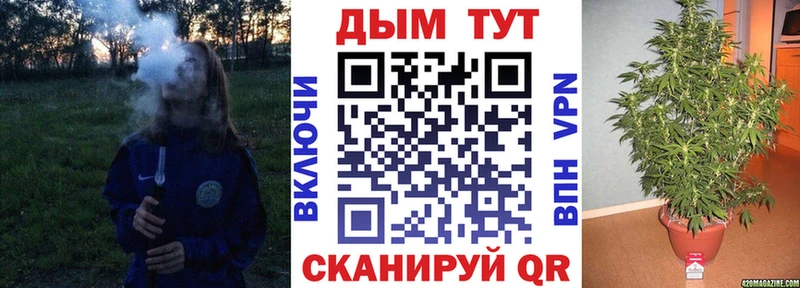 Шишки марихуана Amnesia  kraken как зайти  Архангельск 